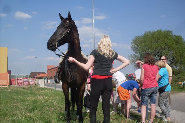 foto 058.jpg - O projku na koni byl velk zjem